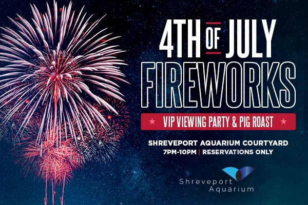 4th of July Fireworks
